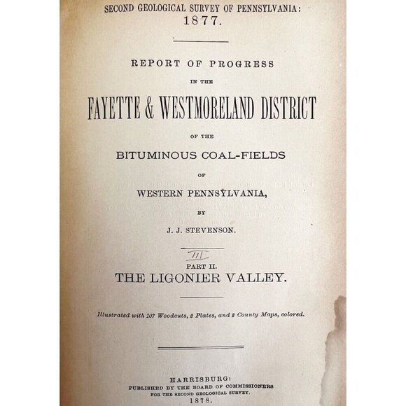 Geology Of Southwestern Pennsylvania Lot Of 2 1877-78 Victorian Coal WHBS - Picture 4 of 10